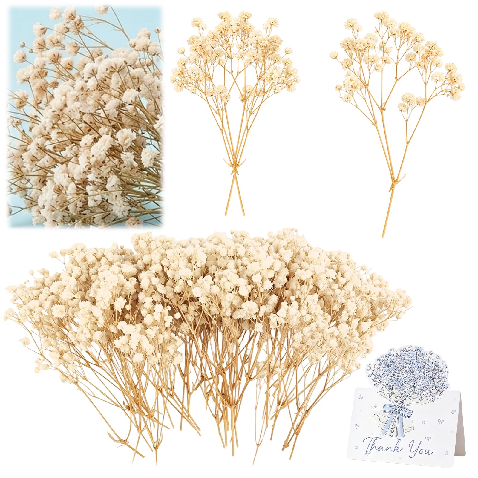 101PCS Dried Gypsophila Flowers Bouquet with Greeting Cards Dry Flowers for Decoration, Dry Flowers for Decoration Craft DIY, Gypsophila Artificial Flowers for Vase Home Wedding Table Centerpieces