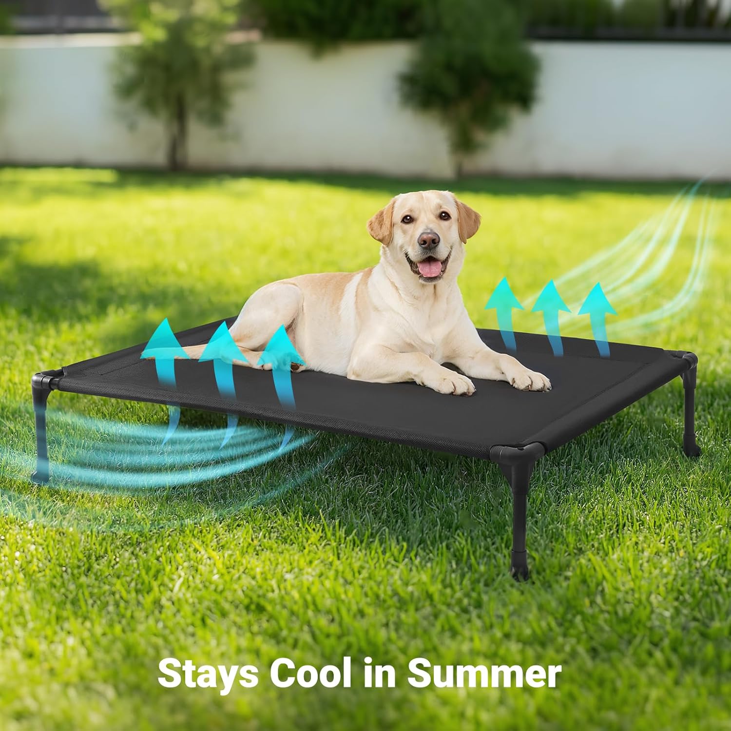 Ultimate Comfort: Veehoo Outdoor Elevated Dog Cot Review for Happy Pups!