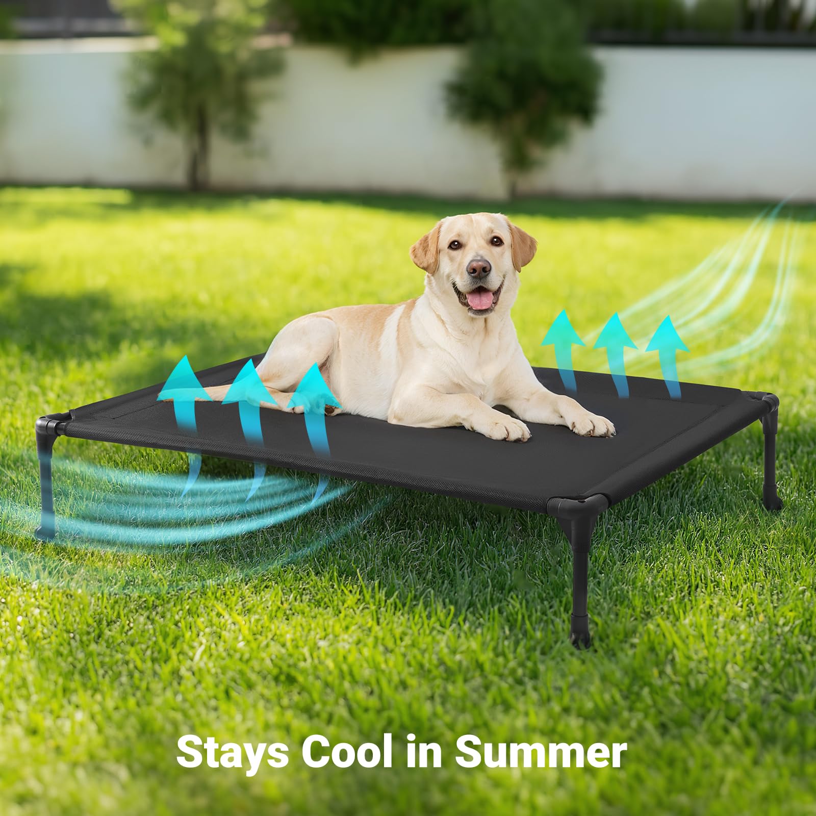 Amazon | Veehoo 大型犬 ベッド 高床式 ドッグコット 犬 ベッド 洗える