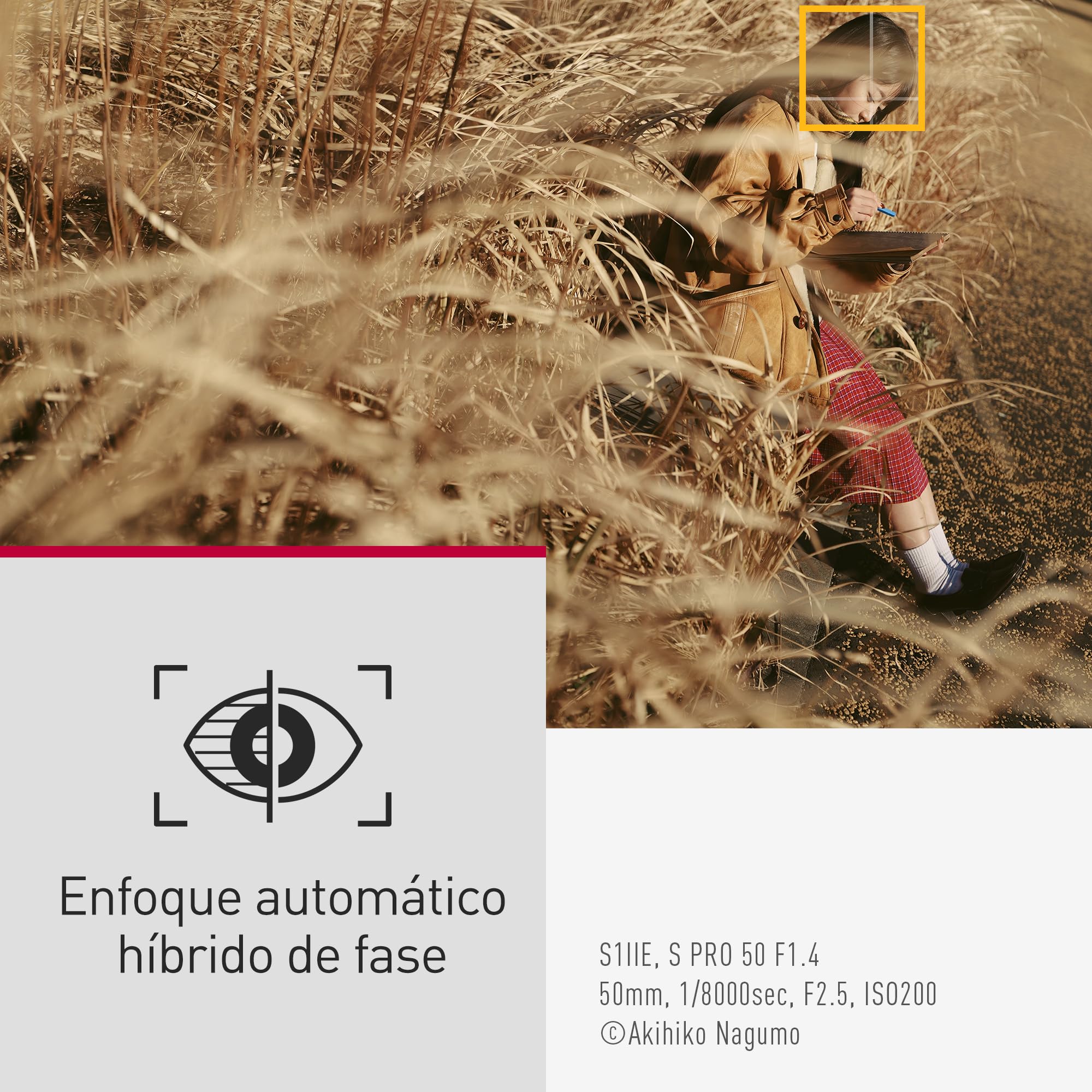 Panasonic LUMIX S1IIE Cámara Sin Espejo de Fotograma Completo, 24MP, Cs4K 60p Área Completa, Video 6K 30p Open Gate, I.S. Activo, Grabación 4:2:2 10 bit, Montura L, DC-S1M2ESME, Objetivo 24-105mm F4