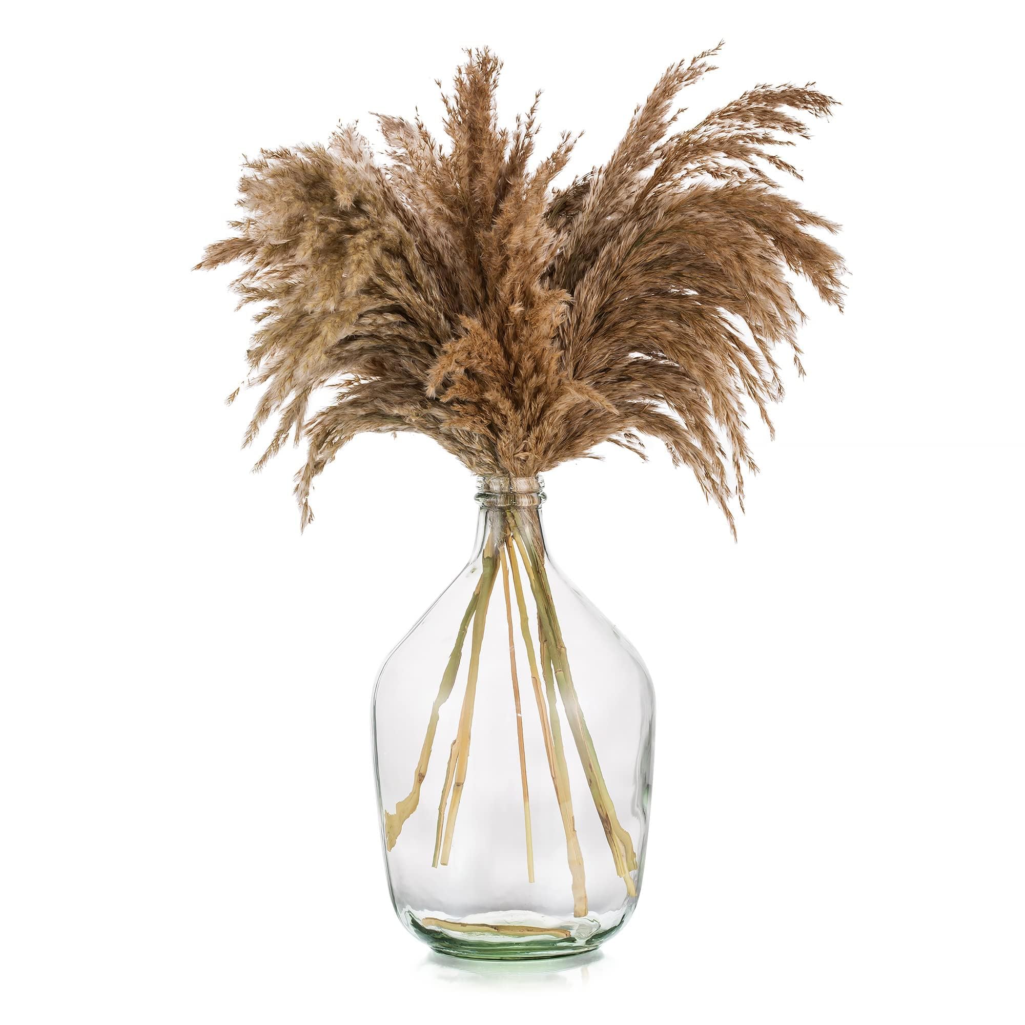 Grand vase en verre transparent pour herbe de pampa et décoration du salon moderne