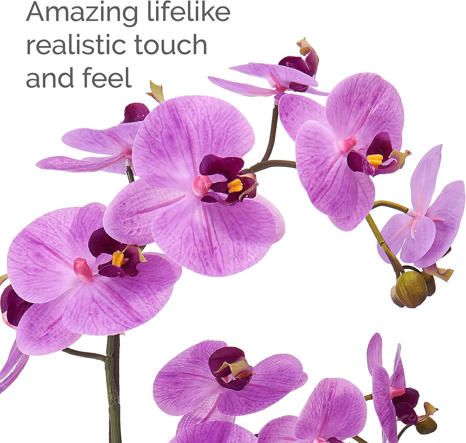 Mikasa Artificial Orchid in Pot, Real Touch Phalaenopsis Orchid, Embossed Leaf Cement Pot, 22-Inch Double Branch, Fuchsia