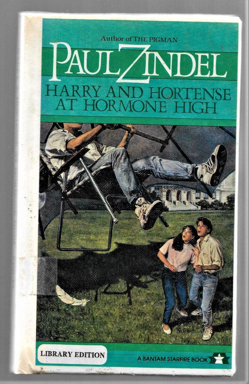 Buy Harry and Hortense at Hormone High — BookShops.in