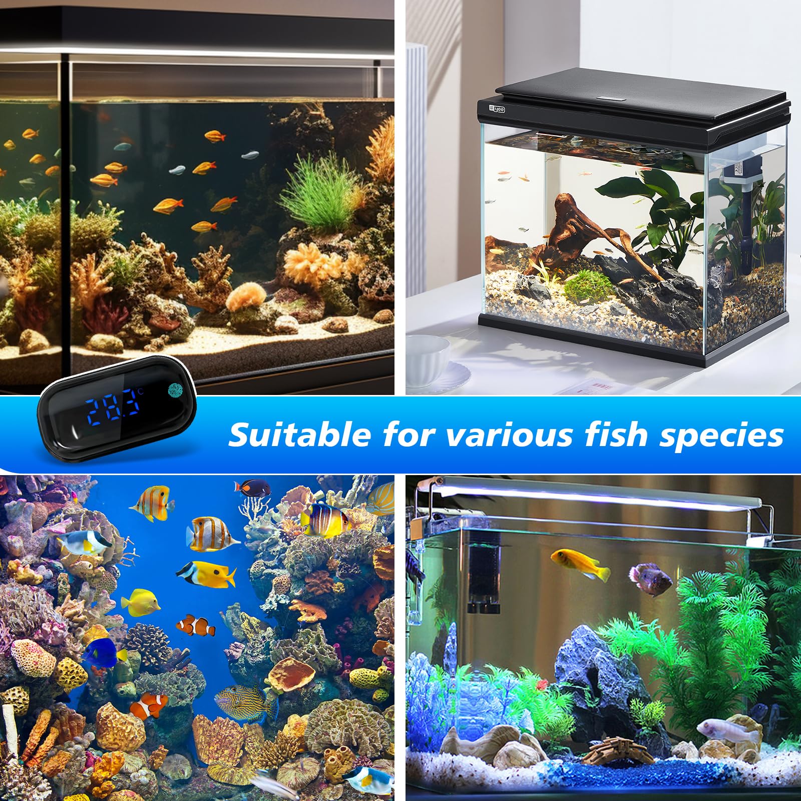 Termometro Digitale LED Per Acquario - Sensore Temperatura Ad Alta Precisione 0.1°C, Touch - Foto 6