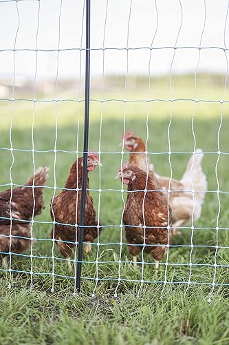 Miniatura 2 de Starkline Red eléctrica estándar para aves de corral de 42 pulgadas x 164 pies (11/42/3) cercado eléctrico para patios traseros, granjas, granjas y