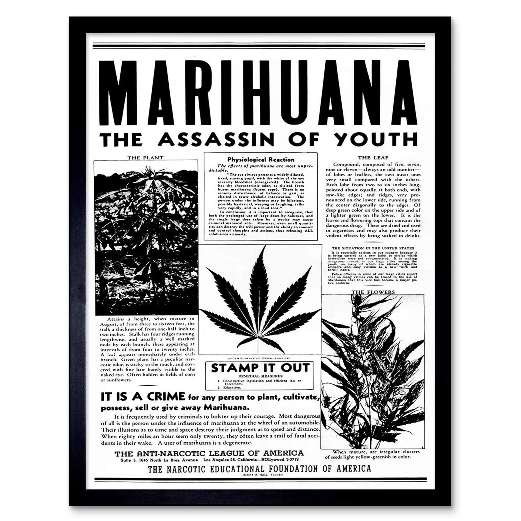 Wee Blue Coo Advertising Drug Awareness Warning Marijuana Weed Cannabis Panic USA Art Print Framed Poster Wall Decor 12X16 Inch
