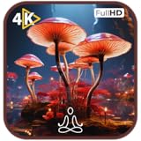 キノコのリラクゼーション：安らかな自然の雰囲気とフルートのメロディーで休息