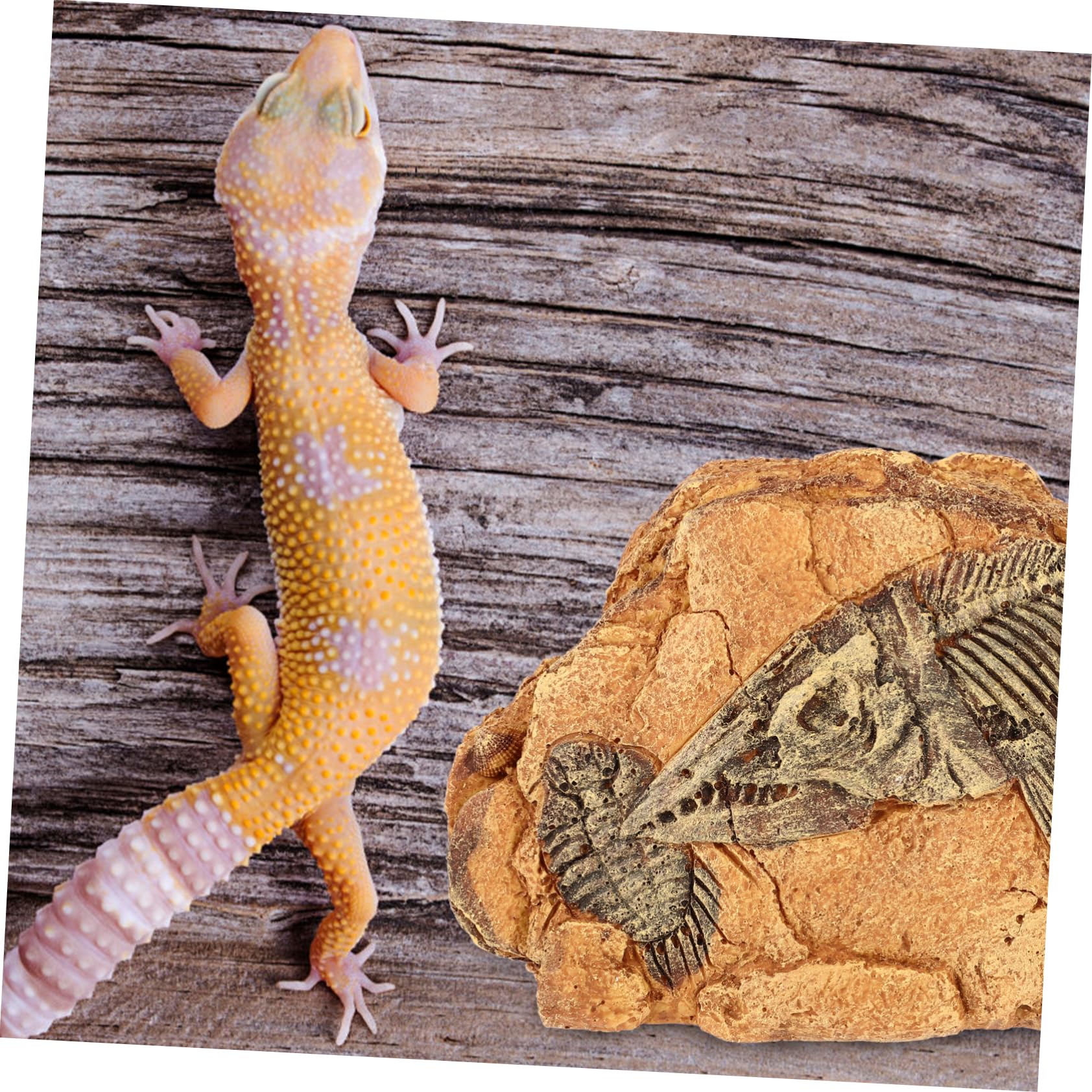 minkissy Refugio Para Reptiles Cuevas Para Mascotas Reptantes Decoración De Cuevas