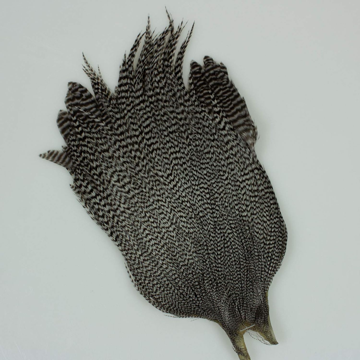 TIEMCO Fly Material Mets Cock Neck #2 Dye Grizzly Blue Dan 90234