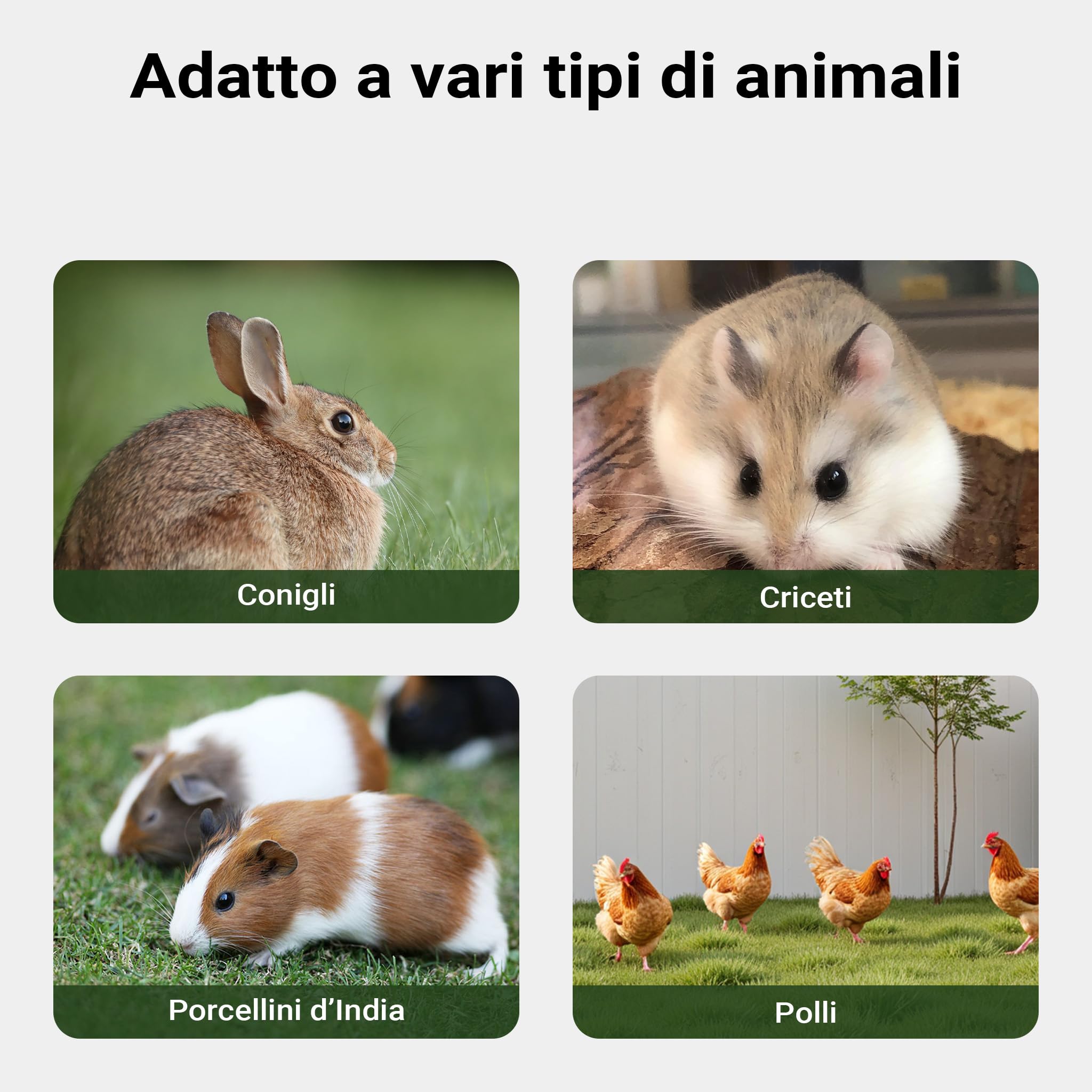 Conigliera triangolare con 2 porte e recinto esterno, per conigli lepri piccoli animali
