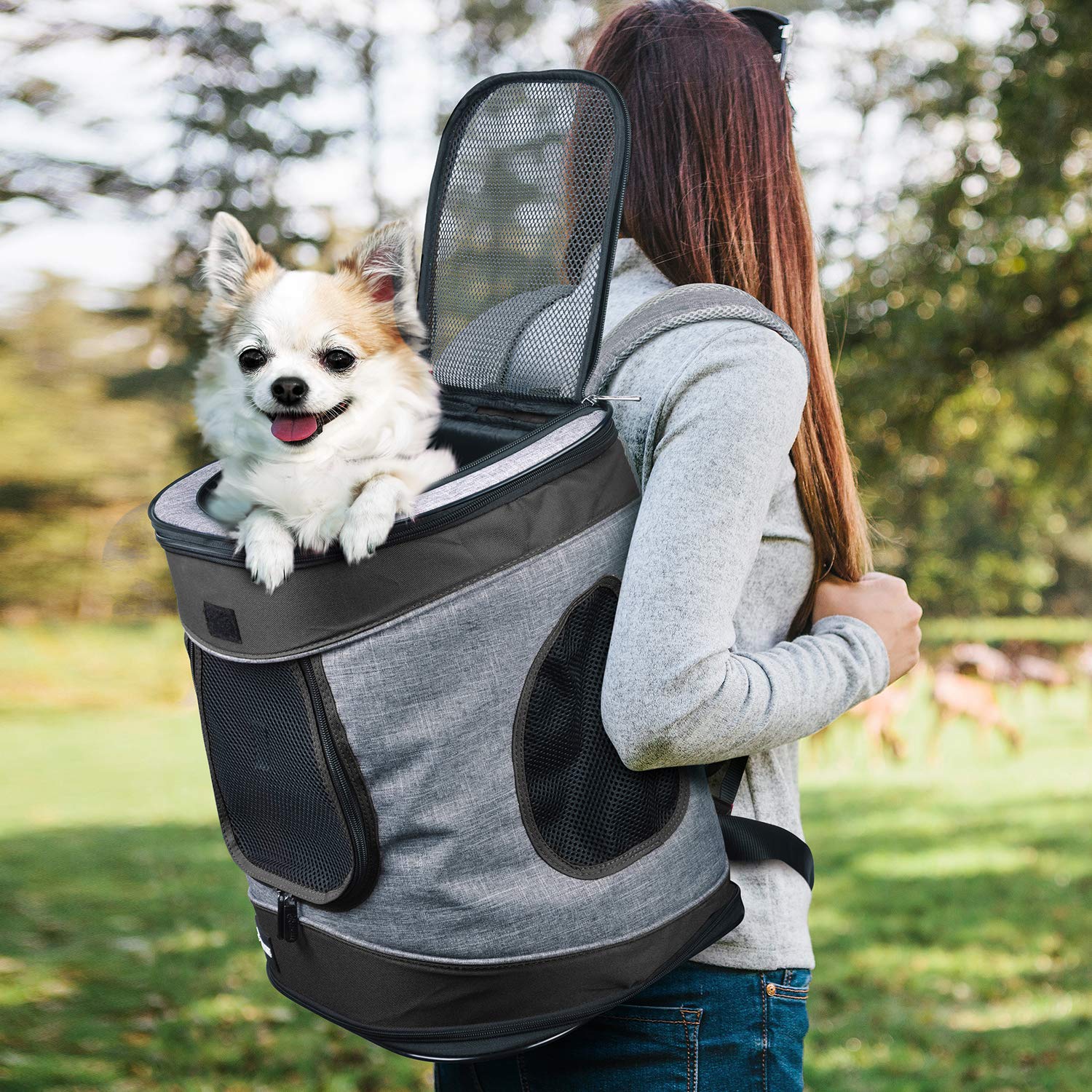 Kritter Planet Sac à Dos pour Animaux avec FenêTre en Maille, Respirant Et Pliable, pour Chiens Et Chats, Tapis IntéRieur Amovible, pour La RandonnéE, Le Cyclisme Et L'ExtéRieur, 8kg Chiots