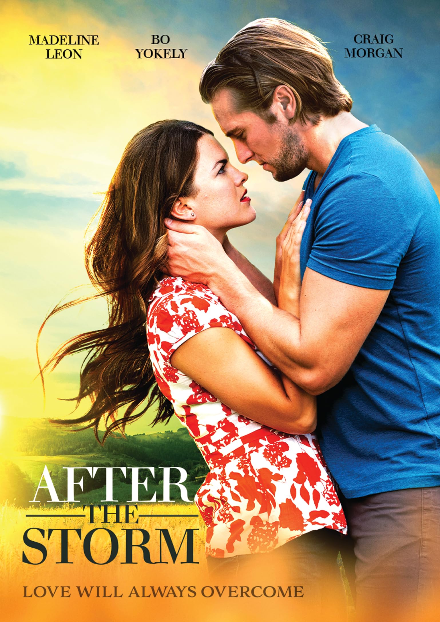 After The Storm DVD solución para amantes de historias cotidianas profundas y realistas