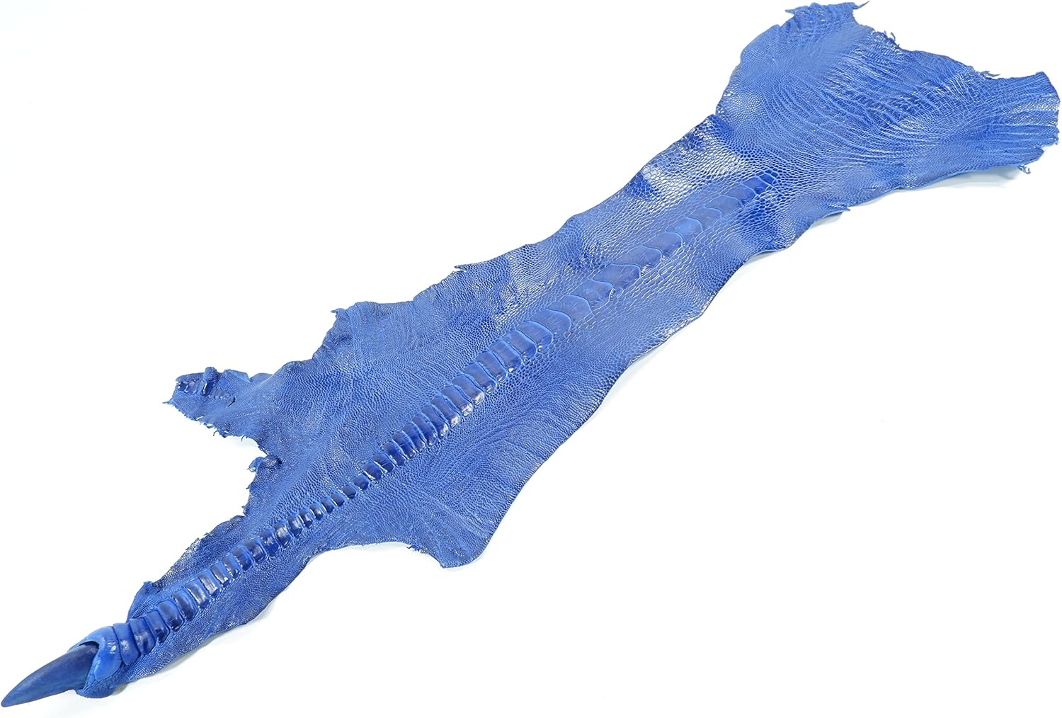 PELGIO Genuine Ostrich Leg Skin Leather with Nail Claw Hide Pelt 5" x 70 cm. Grade A (Ultramarine Blue)
