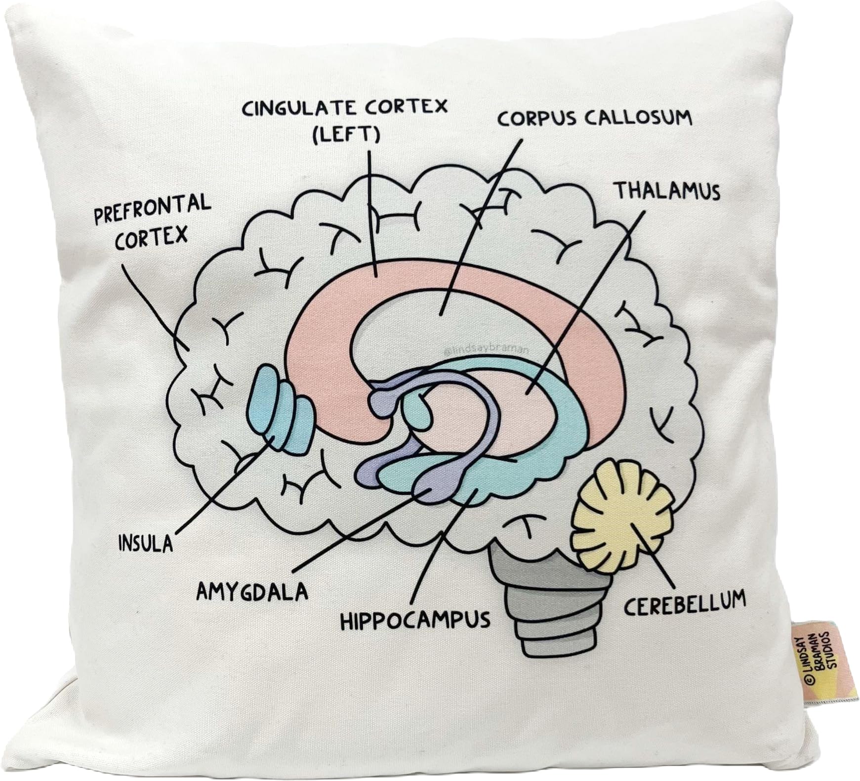 Lindsay Braman Studios Illustrated Brain Anatomy Throw Pillow Cover | Visual Resource for Classroom, Home, or Office