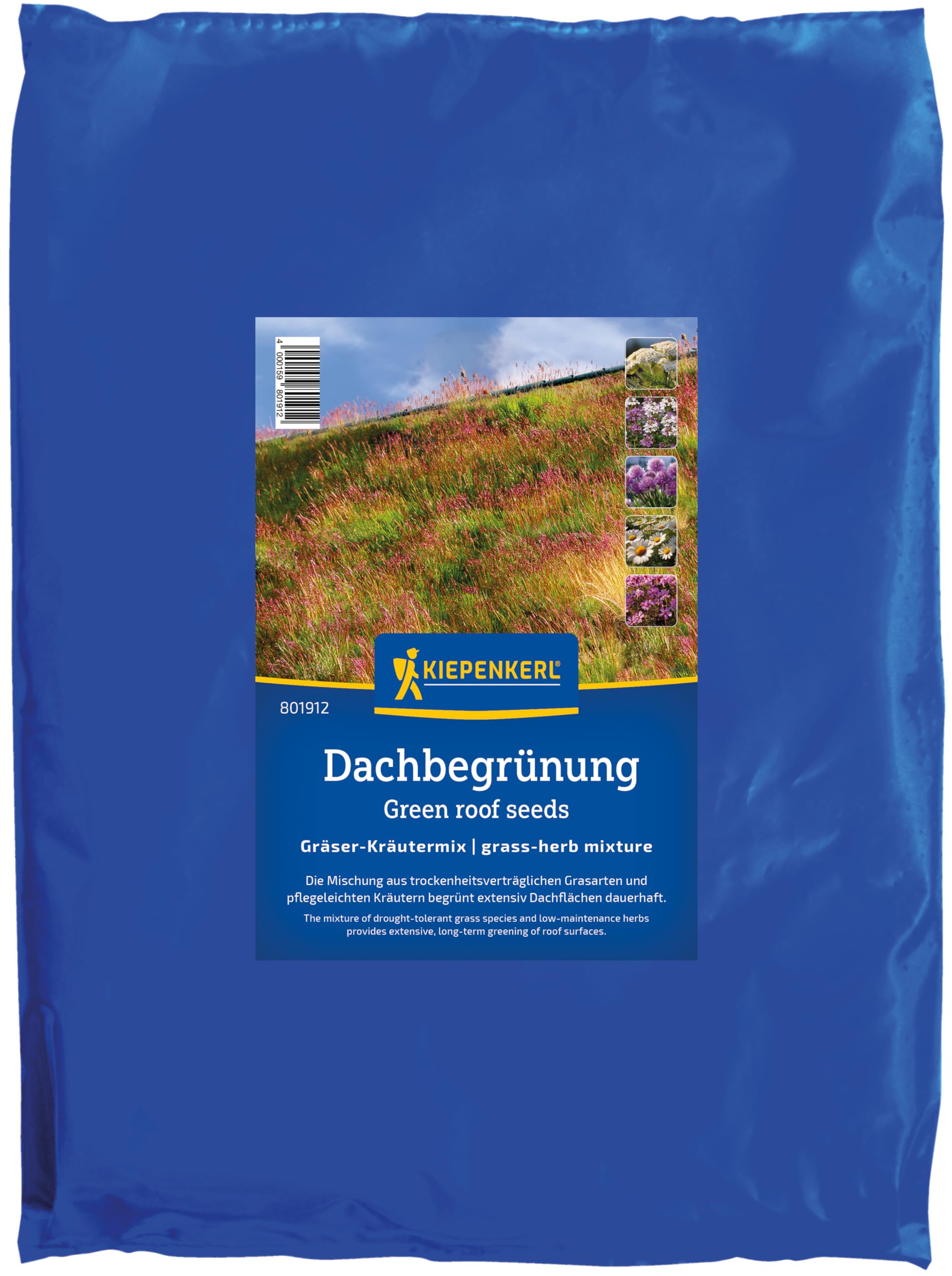 Kiepenkerl Dachbegrünung Kräutermix 801912 - Trockenheitsverträgliche Grasarten und Pflegeleichte Kräuter - Grassamen, Saatgut, Mehrjährig