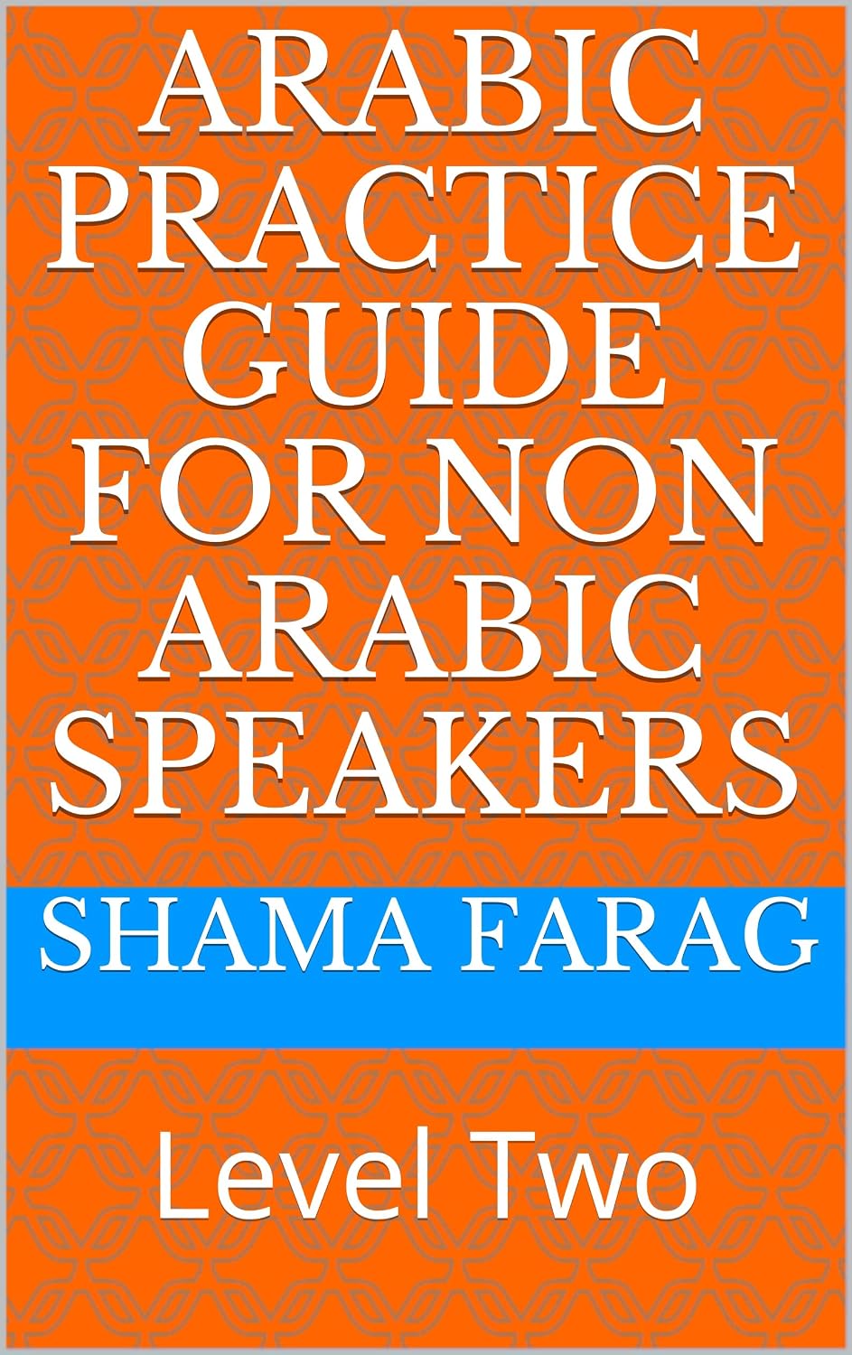 Arabic Practice Guide for Non Arabic Speakers: Level Two (Arabic ...