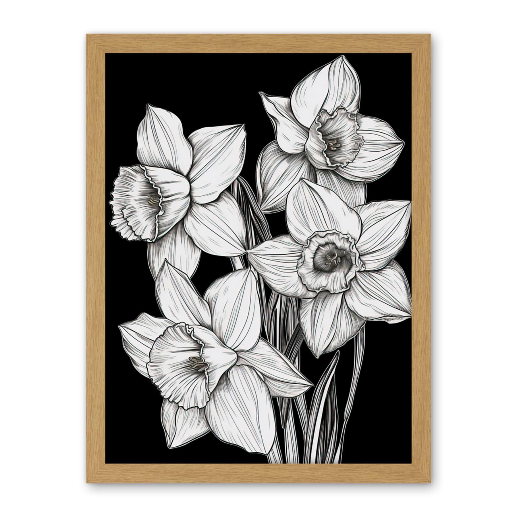 Artery8 Daffodil Wildflower Plant Blooms Black and White Artwork Framed Wall Art Print 18X24 Inch