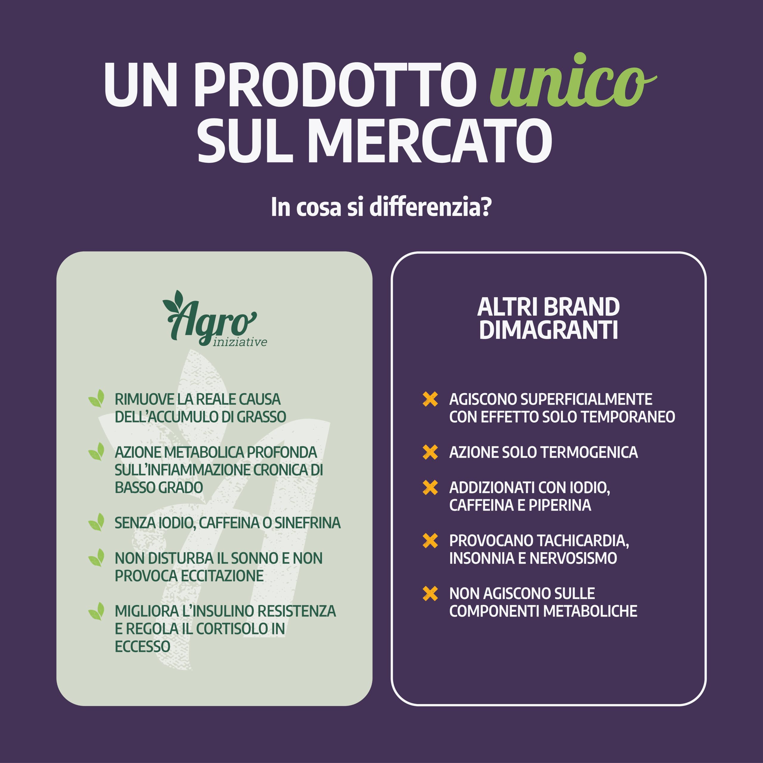 AGROINIZIATIVE SPIRULINA SLIM 100 Cps Alga Spirulina Biologica Drenante Efficace Senza Iodio E Caffeina Spirulina Detox Effetto Sazietà Con Zenzero Acetil L-Carnitina E Greenselect PRODOTTA IN ITALIA