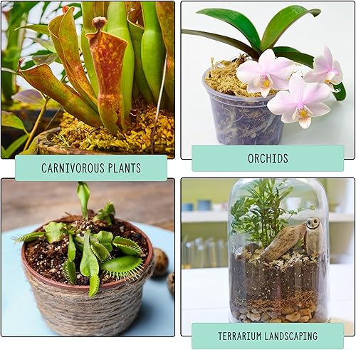 Miniatura 32 de Suelo de árbol del dinero (4 cuartos de galón), mezcla para macetas para plantar/trasplantar Pachira Aquatica, mezcla de suelo personalizada