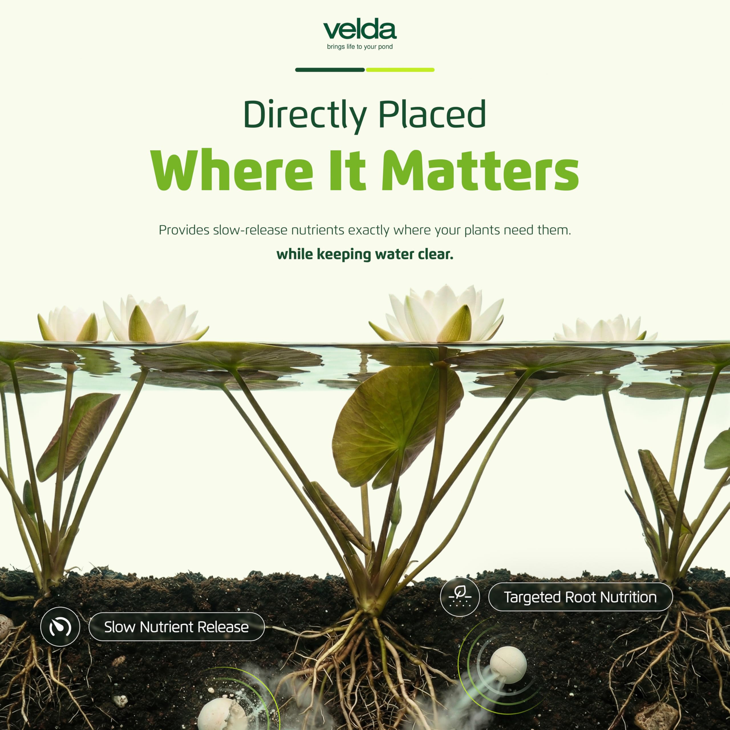 Velda 122250 fertilizante para plantas acuáticas, 50 bolas – bolas de crecimiento