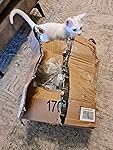 Review Image by Amazon Customer