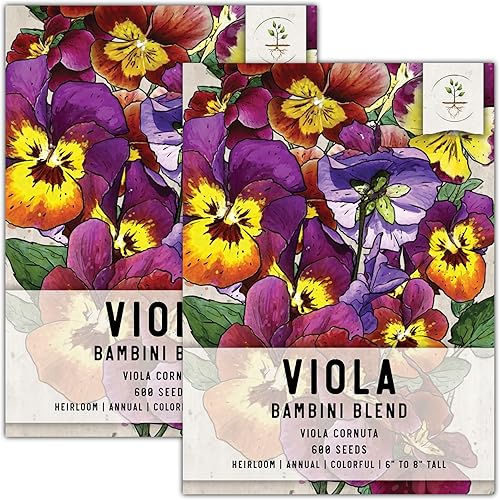 Miniatura 22 de Seed Needs Semillas de viola para plantar violas Bambini, flores anuales de polinización abierta para plantar y cultivar un jardín de mariposas