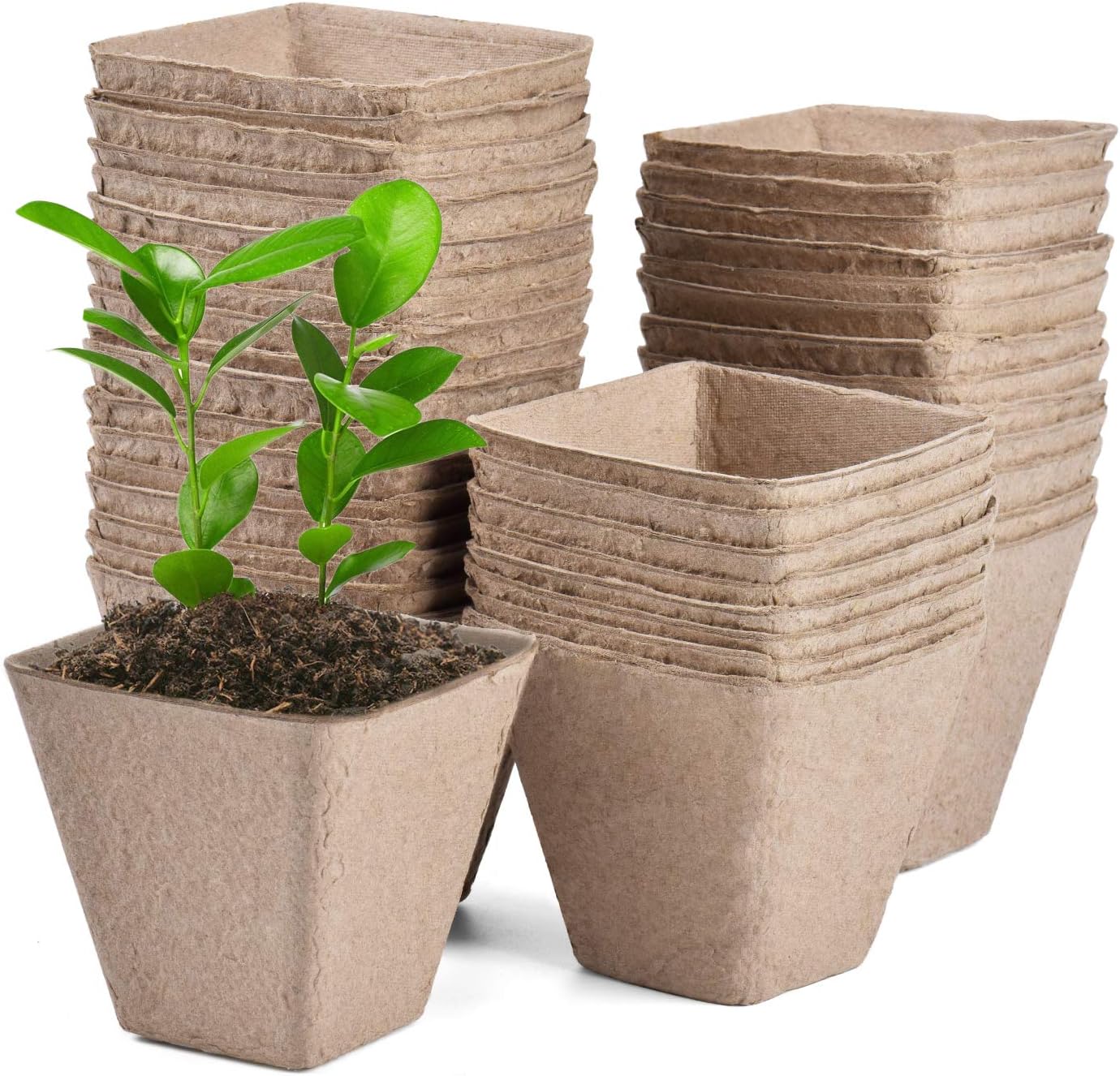 JOYSEUS 3.25" Seed Starter Pots, Organic Planting Peat Pots for Indoor Garden Seedling, 30 Pcs 100% Eco-Friendly and Biodegradable for Seed Germination