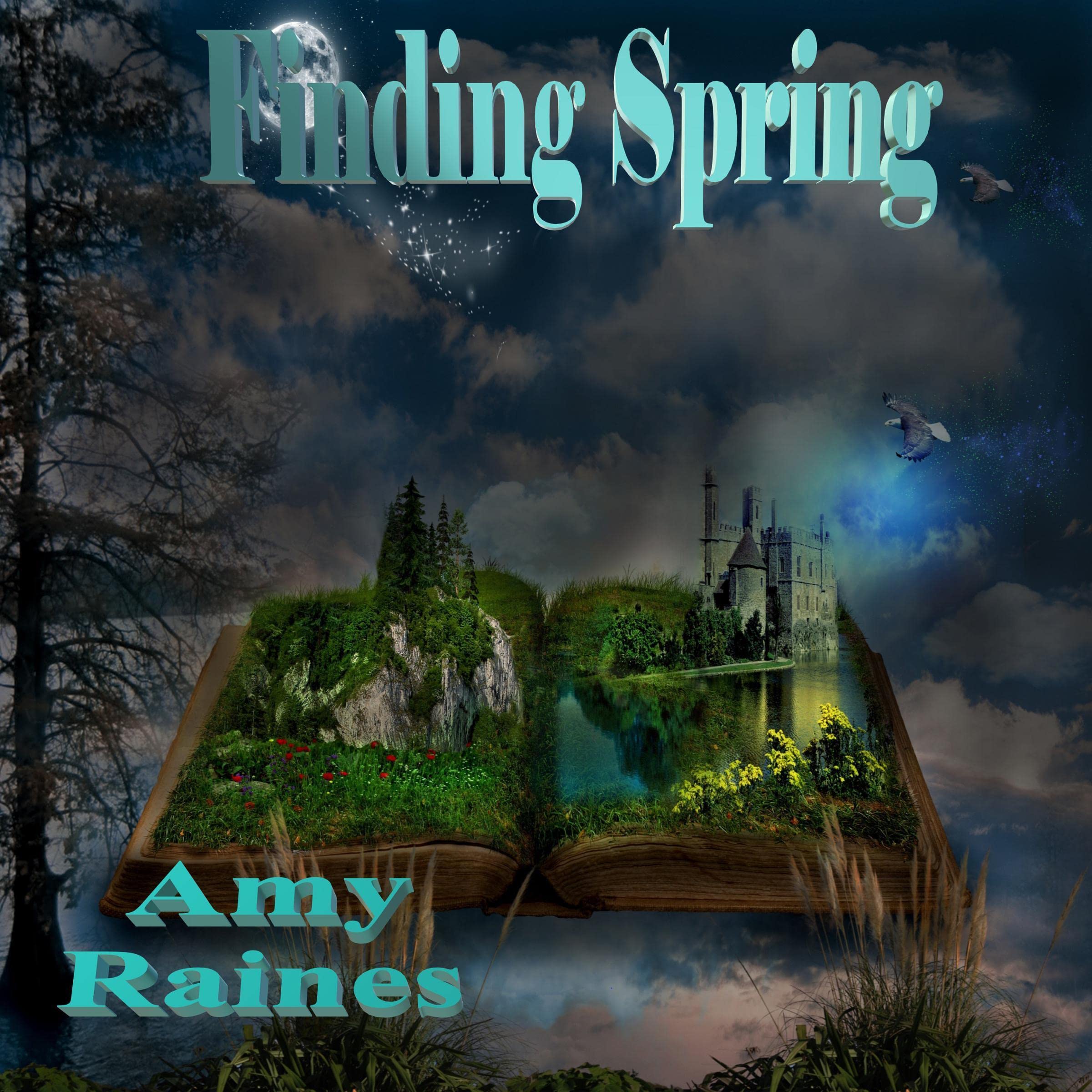 Cover art for Finding Spring