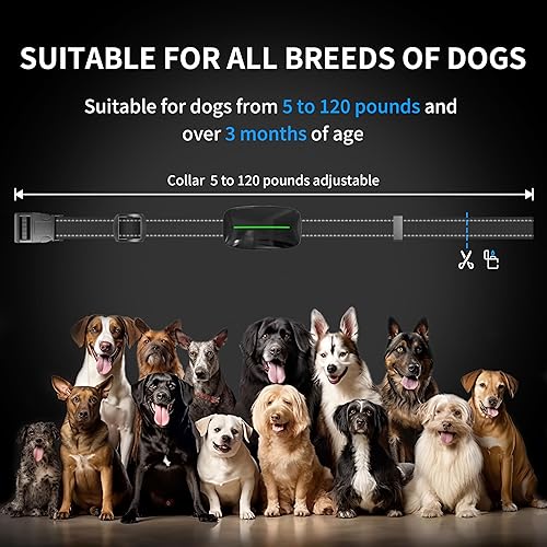 Miniatura 7 de Collar de choque de entrenamiento para perros de 3300 pies con control remoto IP67 resistente al agua con 4 modos de entrenamiento, pitido,