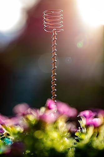 Miniatura 6 de Electroculture Grows - Juego de 5 estacas de cobre sólido de 18 pulgadas de largo, envueltas con cobre sólido puro