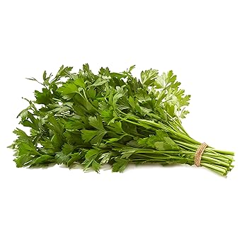 Natures Reward Italian Parsley, 1 EA