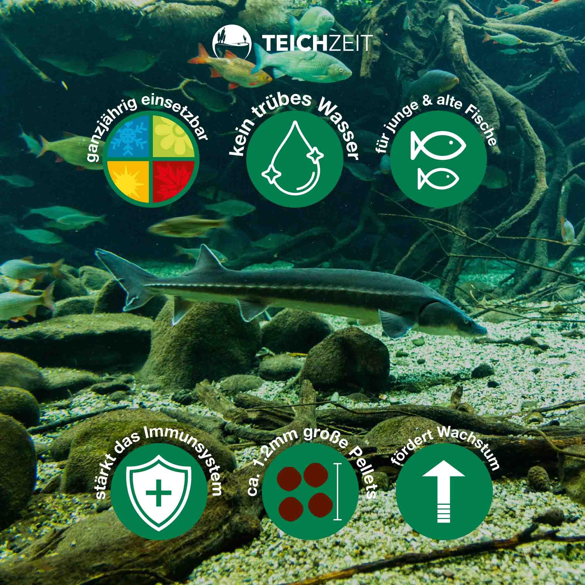 Teichzeit Biotop Futter Sink | Fischfutter für Teichfische | sinkendes Teichfutter | Futter für Gartenteich Fische | 3kg