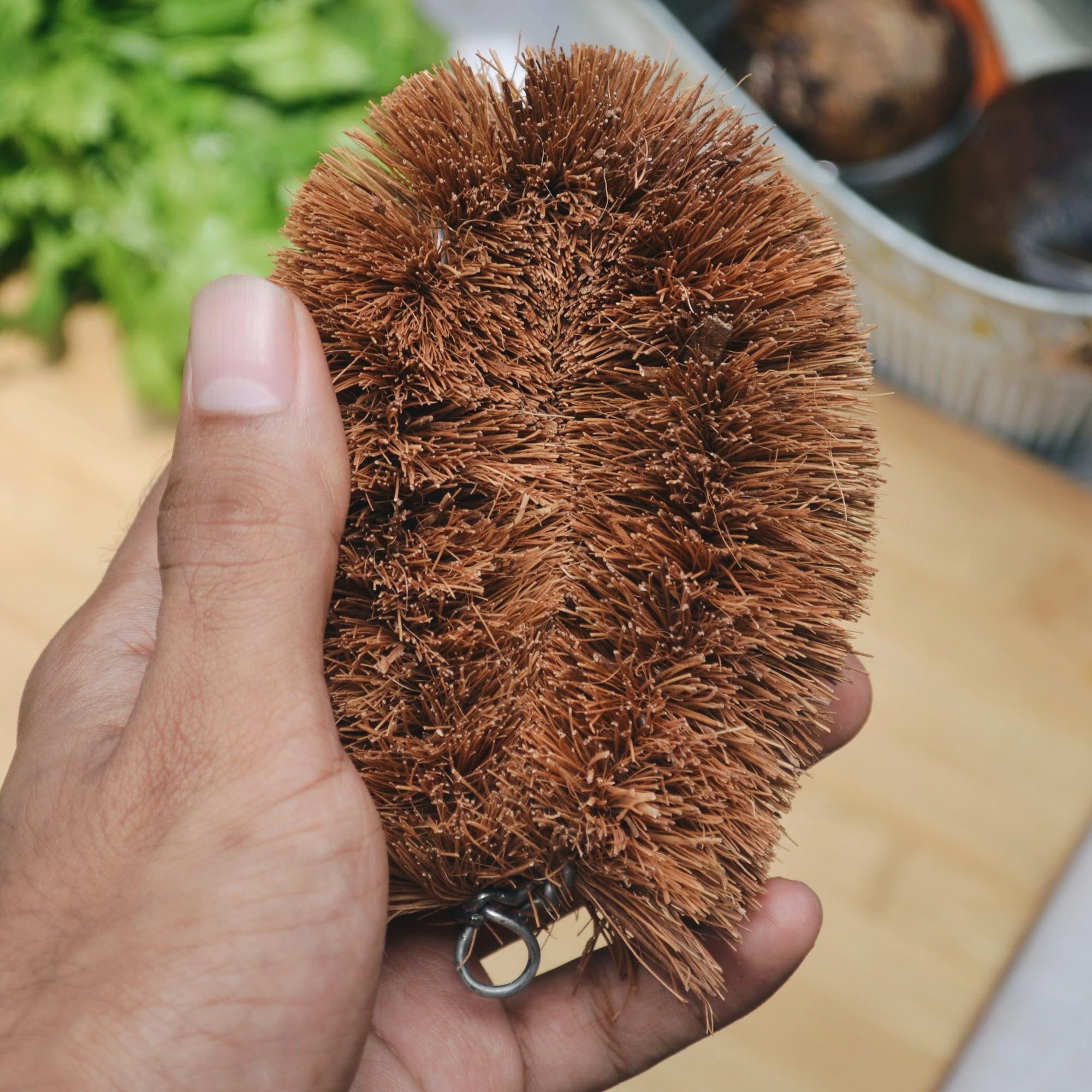 Almitra Sustainables Natural Kitchen Cleaning Brush (Set of 2).Long Bottle Cleaning Brush for Wide Mouth Bottles and Scrubber for Cleaning Vegetable & Fruits. Made of Coconut Coir Bristles. - Image 3 thumbnail