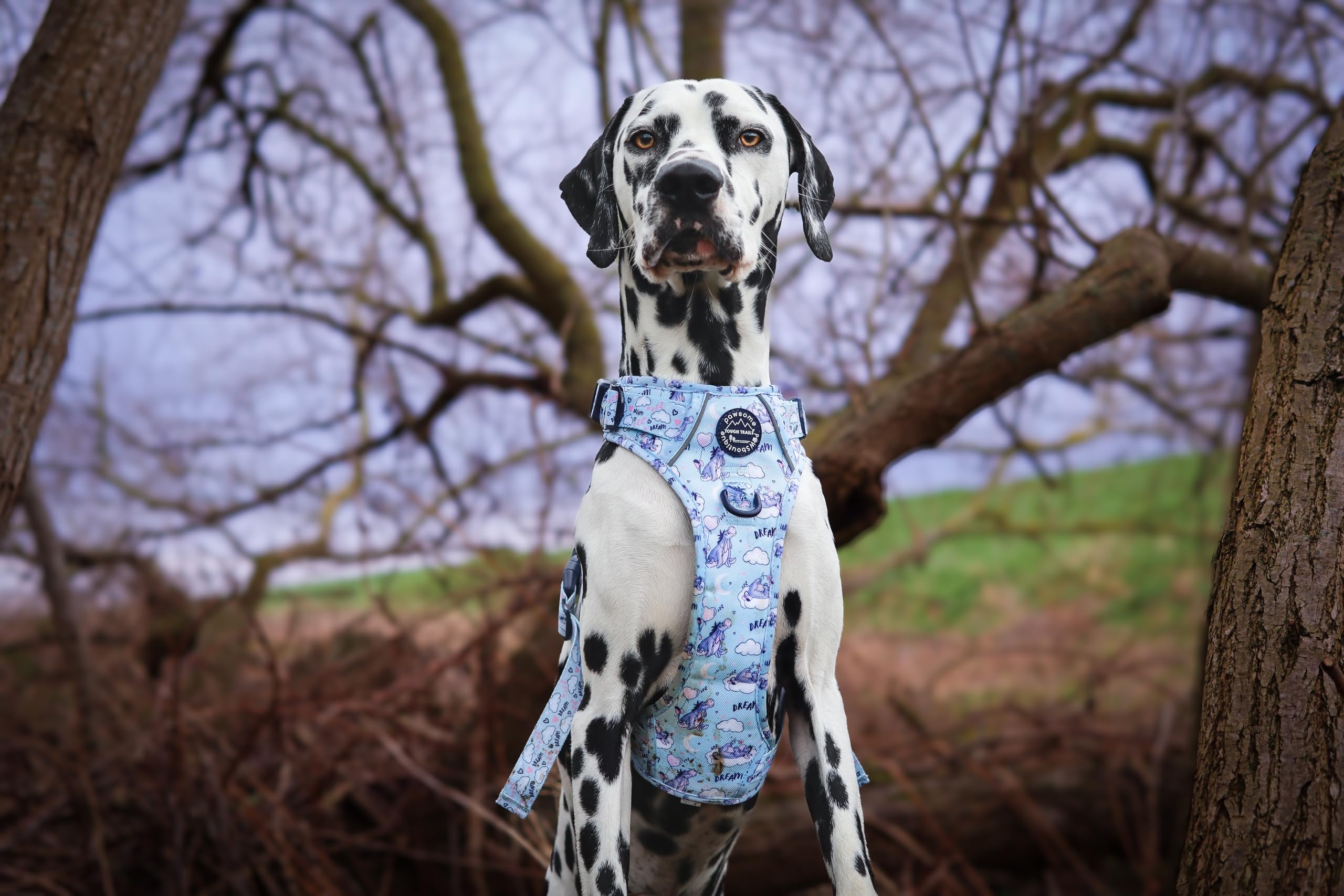 Pawsome Paws Boutique Eeyore - Arnés para Perro Grande Tough Trails – Arnés Ajustable con diseño de Disney sin tirones con Ribete Reflectante y Hebilla Resistente