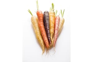 Rainbow Carrots, Locally Grown, 2 Bunches