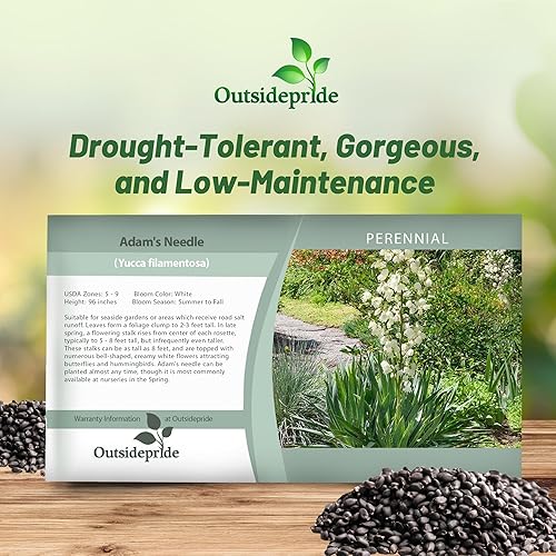 Miniatura 5 de Outsidepride Sempervivum Montanum para gallinas y pollos perennes tolerantes a la sequía, semillas de plantas  500 semillas