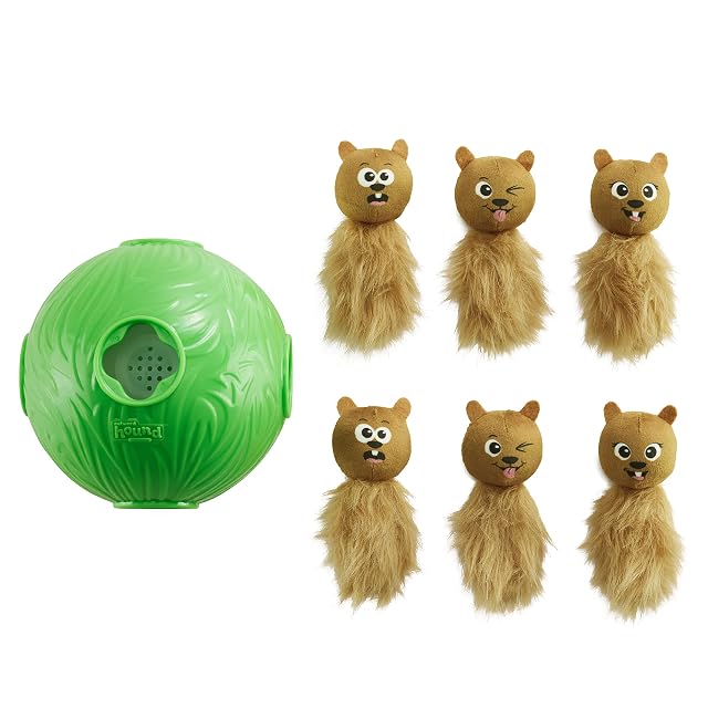Nina Ottosson By Outward Hound Dog Snuffle N' Treat Ball Grn