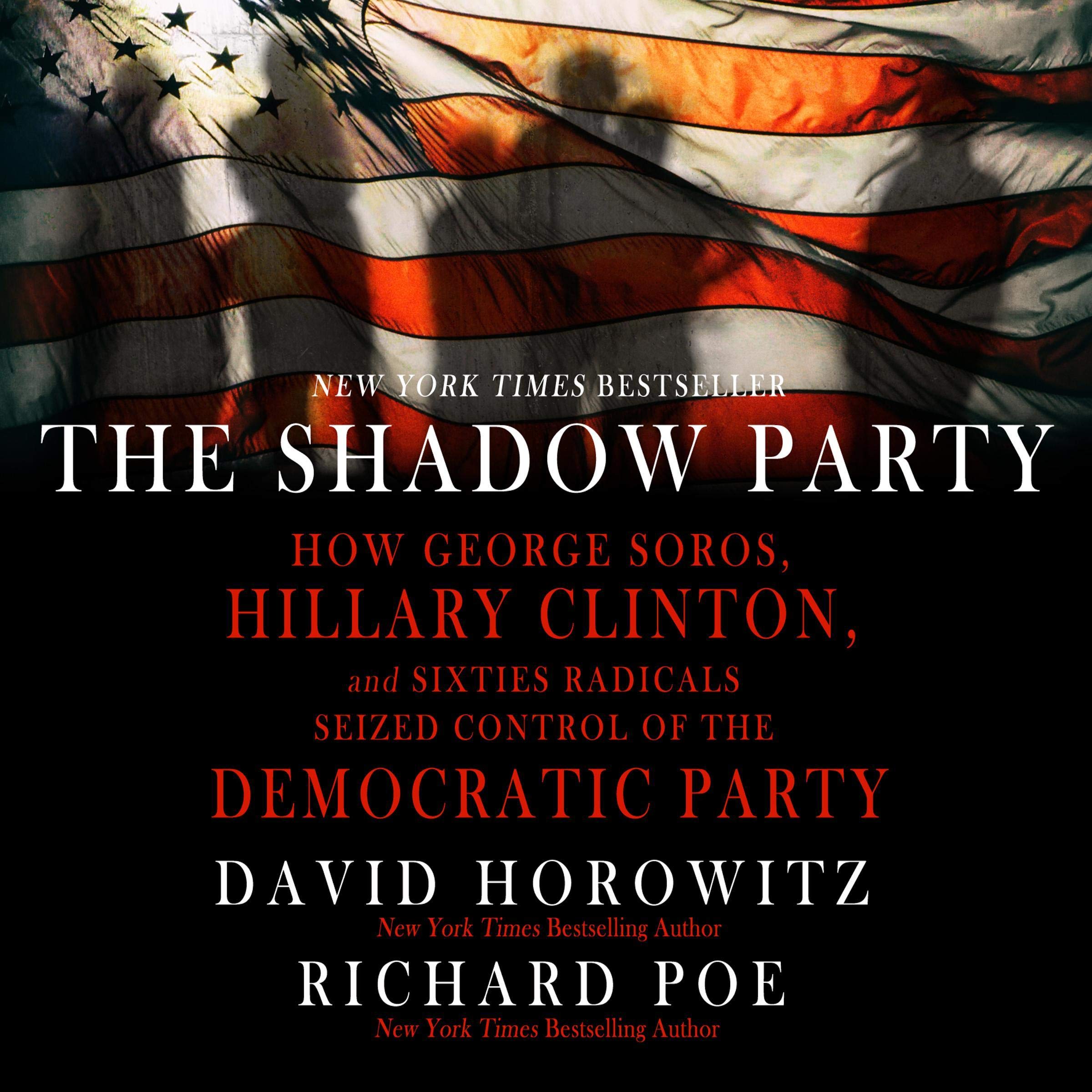 Cover art for The Shadow Party