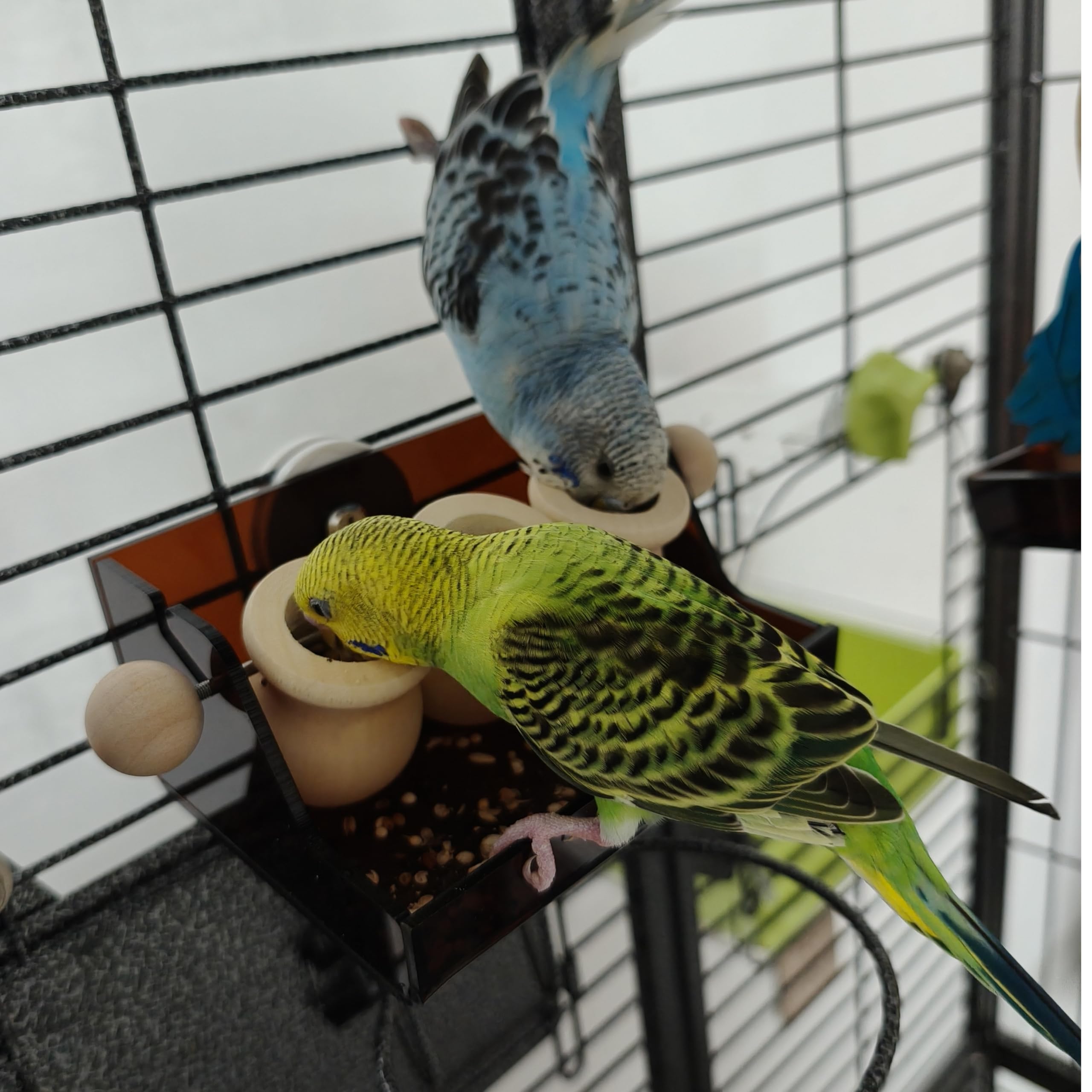 Triple Cup Parrot Foraging Toy, Wood and Acrylic Base Feeder, 6.2x3.7x2.1 Inches, Portion Control System with Stainless Steel Skewers for Small-Medium Parrots - image 6