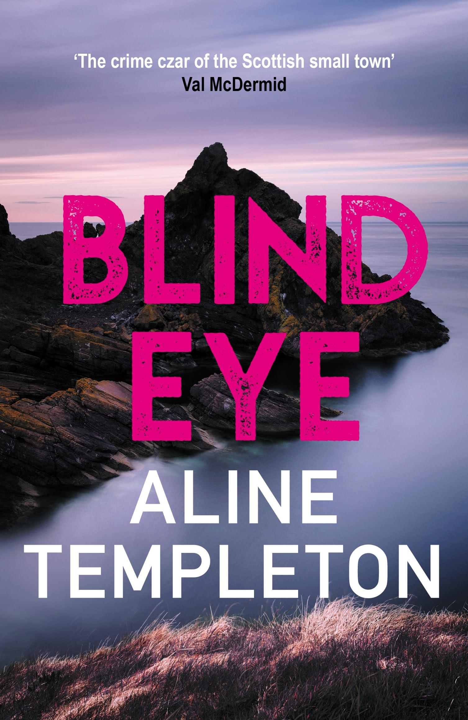 Blind Eye: The girtty Scottish crime thriller (. Templeton Paperback**