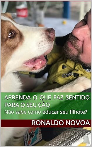 APRENDA O QUE FAZ SENTIDO PARA O SEU CÃO: Não sabe como educar seu filhote?