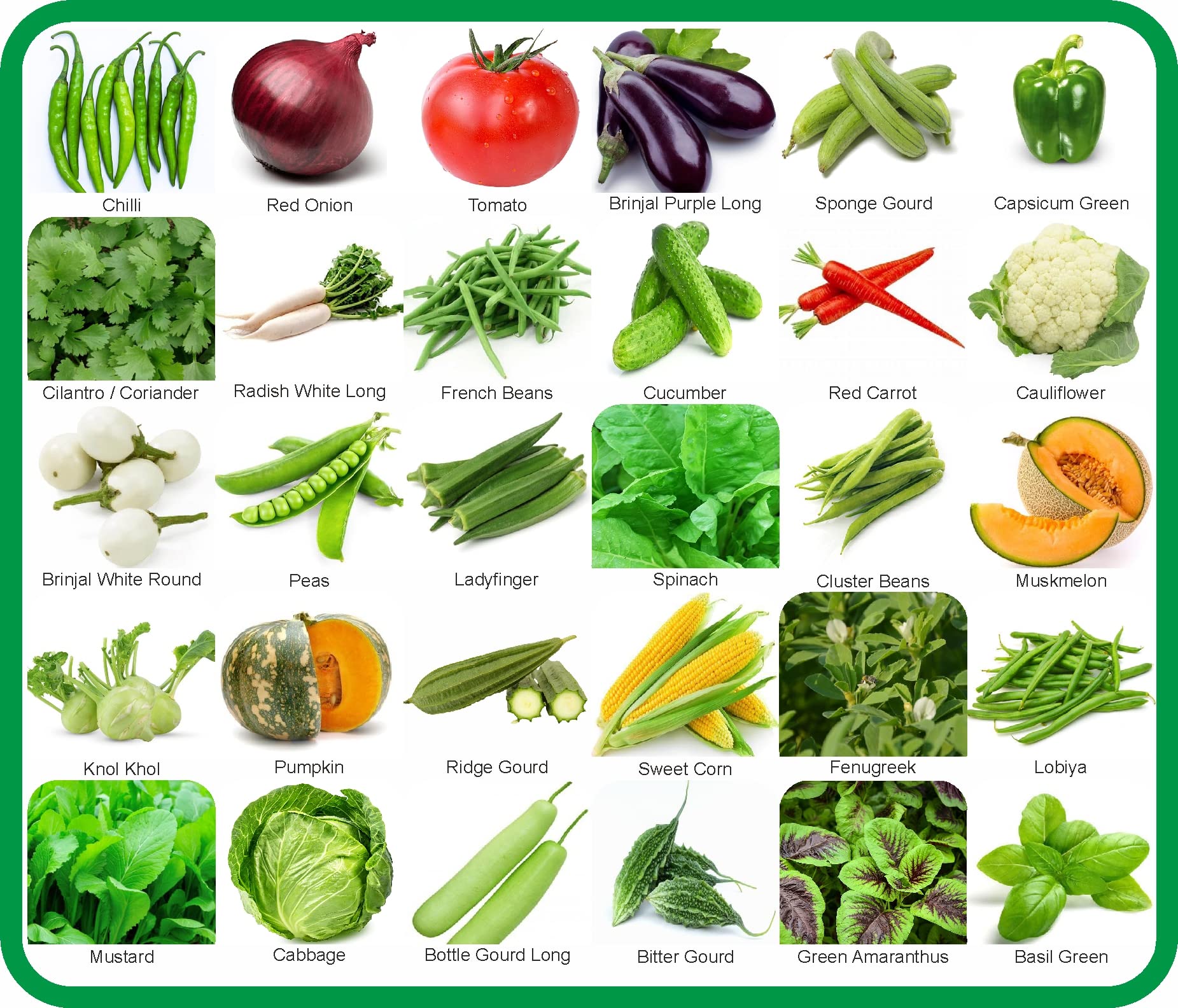 Agnico 30 Variety Of Vegetable Seeds Combo Pack With Instruction Manual. (B0BHDY3N65) Amazon Price History, Amazon Price Tracker