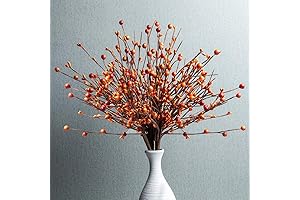 Six Lively Orange Berry Stems: A Flourish of Fall Festivity