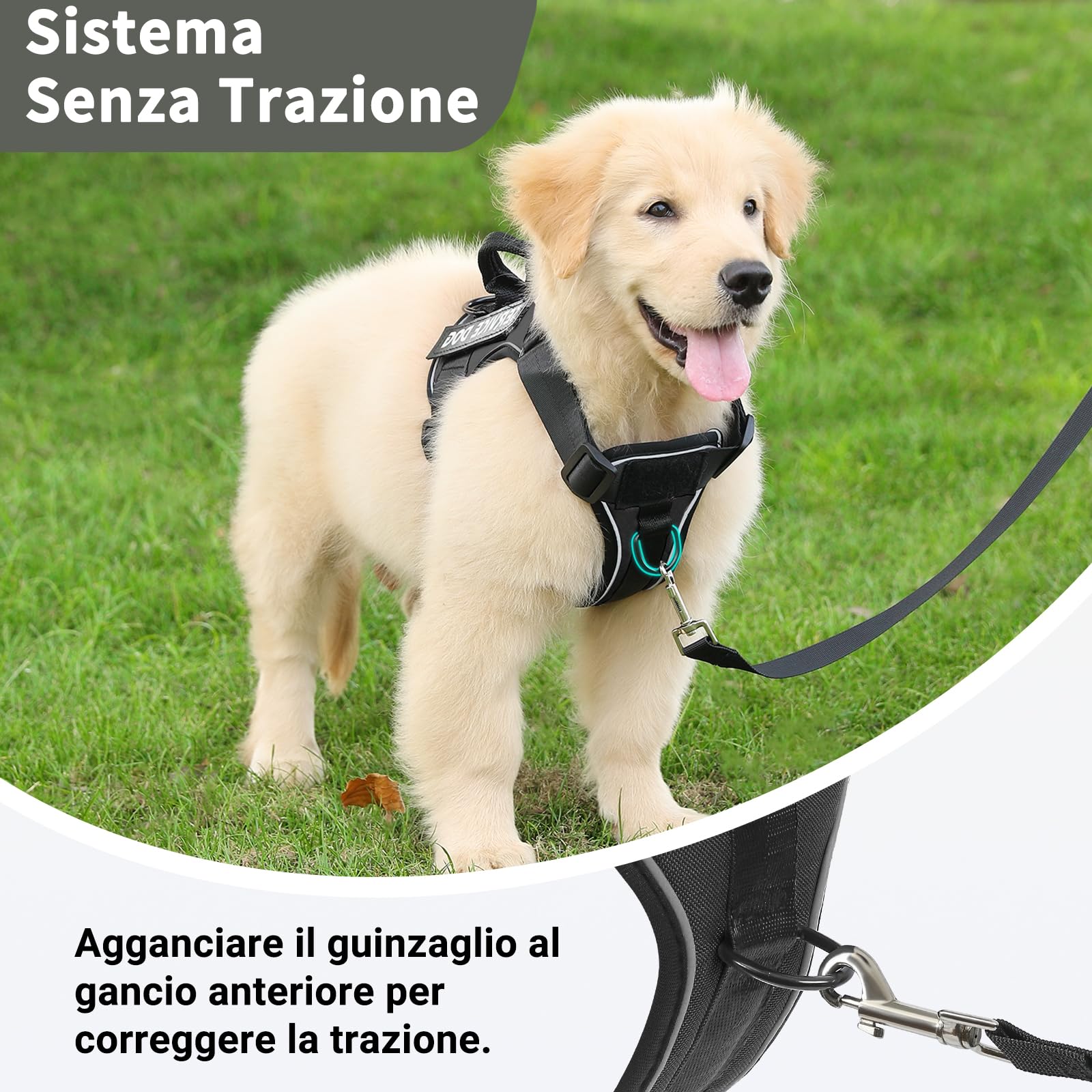 COMSLE Pettorina Cane Taglia Grande Media Piccola, Pettorina Cane ad h Riflettente, Nero, M