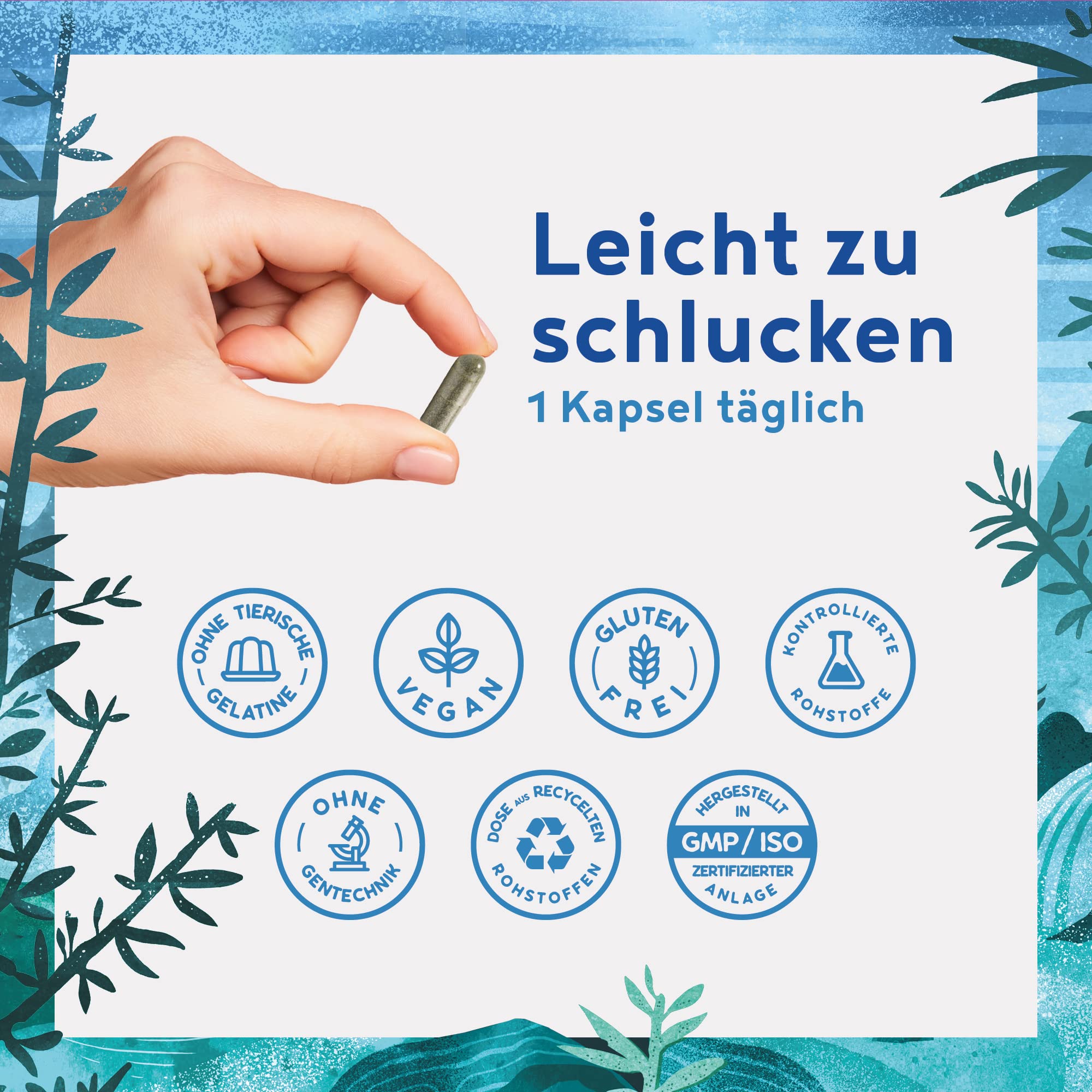 Ashwagandha Kapseln hochdosiert - 500mg Ashwagandha Extrakt pro Tagesdosis mit 35mg Withanolide - indische Schlaf Beere - 100 vegane Kapseln