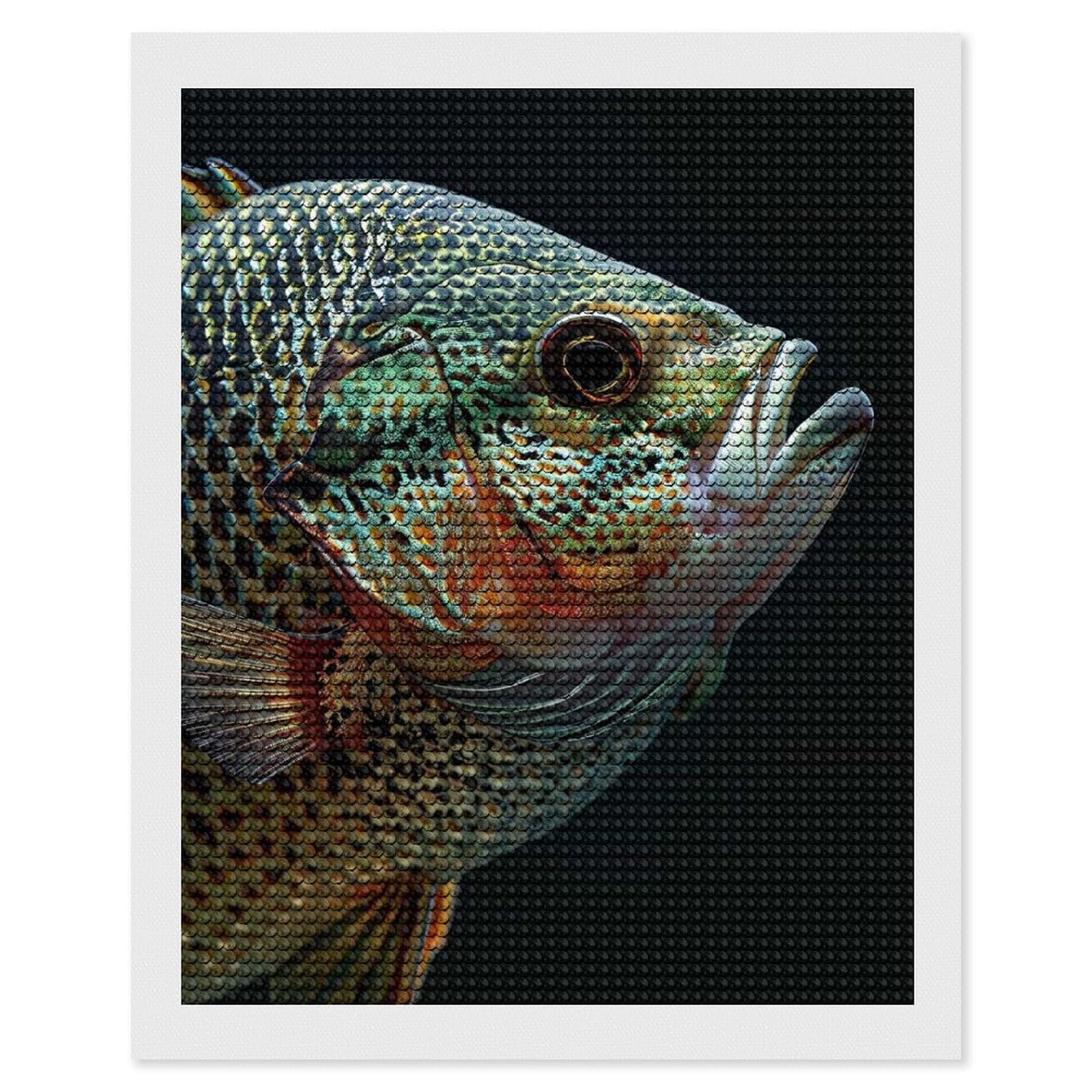Junmoney Crappie Fish Diamond Painting Set 16"x20", Sparkling Round Gems, Decorate Your Room, Fun Craft Experience, Modern Decor