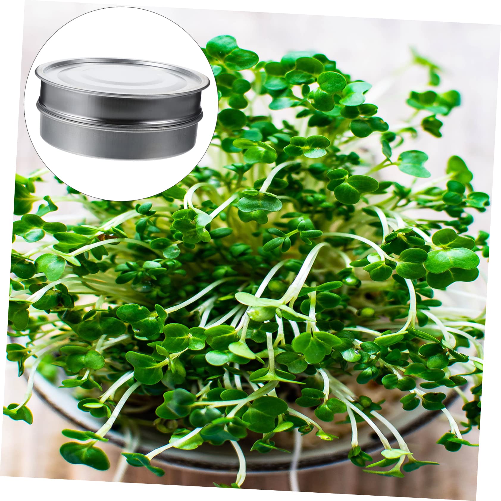 Cabilock 1set Vassoi per Germinazione Inossidabile Base Giardinaggio e Balcone Strumento per Coltivazione Casa