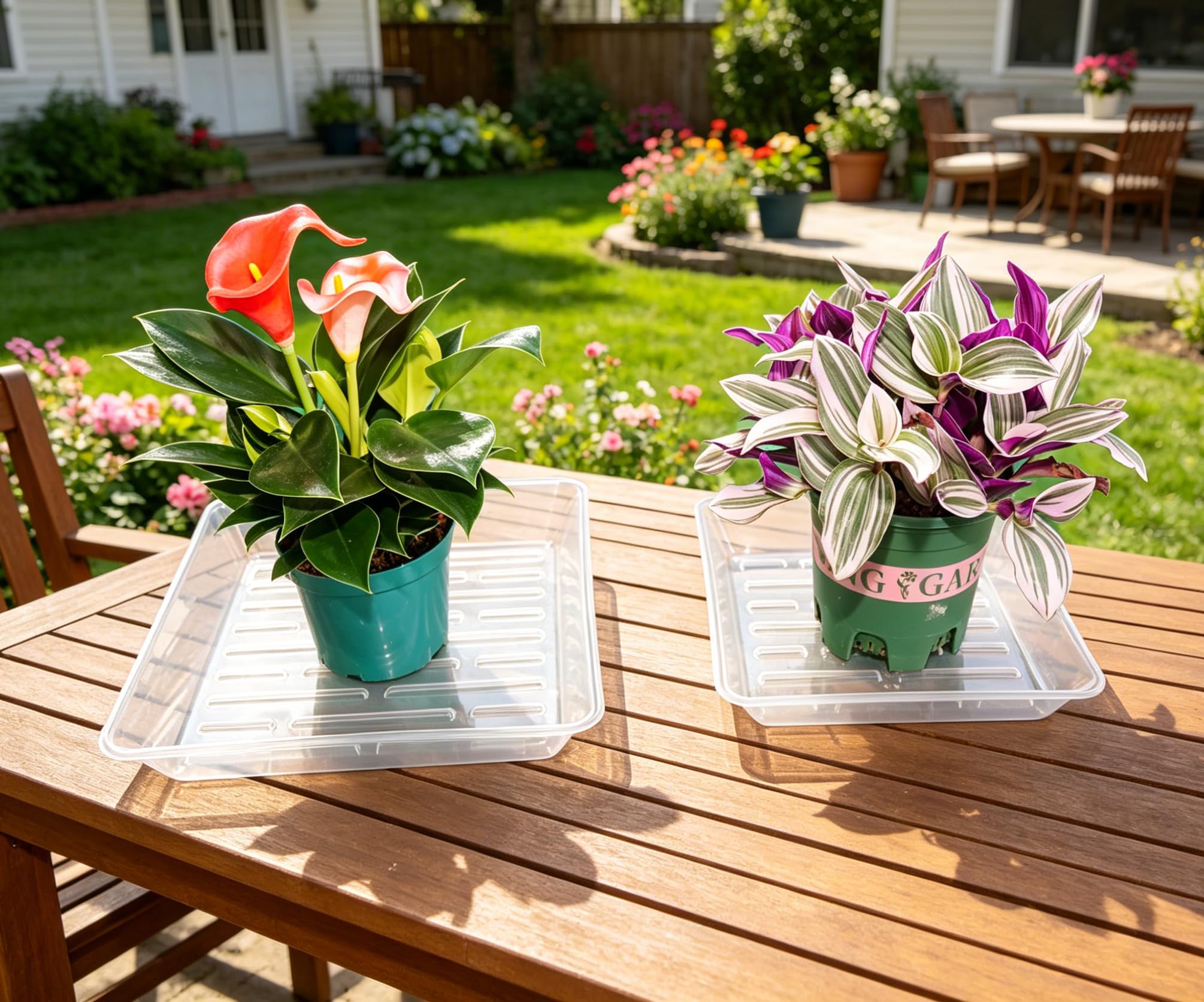 Plant Saucers - 6 Pack 10 Inch Drainage Trays -5 Plant Saucers - 6 Pack 10 Inch Drainage Trays -5