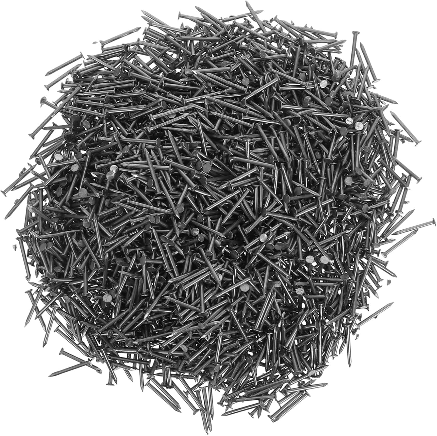Artibetter 1bag Stainless Steel Wall Nails Assortment Kit Pointed Tip Concrete Nails for Cement Walls for Hanging Pictures and Finishing Projects Compact Portable