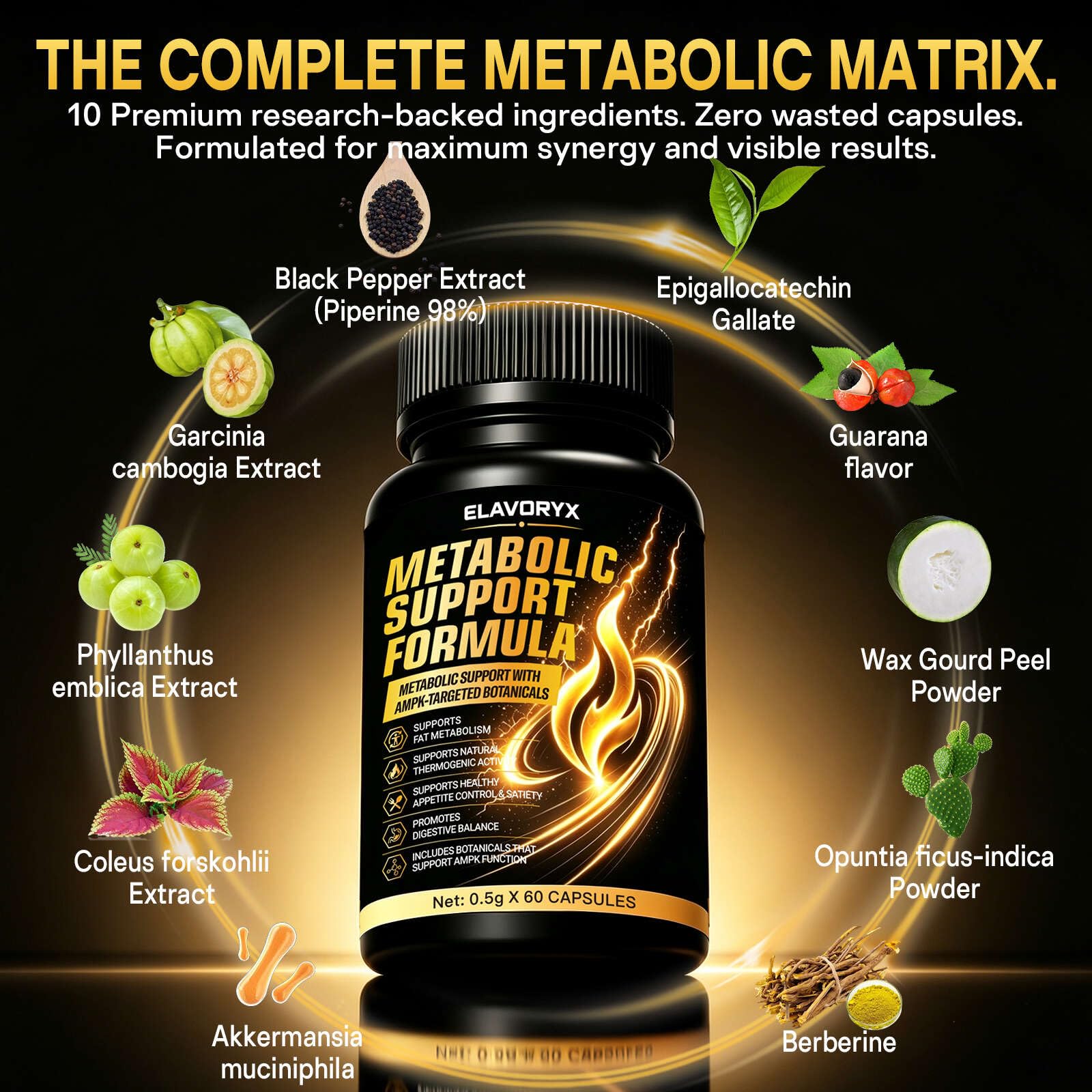 Fat Burner 6-in-1 Comprehensive Fitness Formula, 60 Caps — Amazon image 3